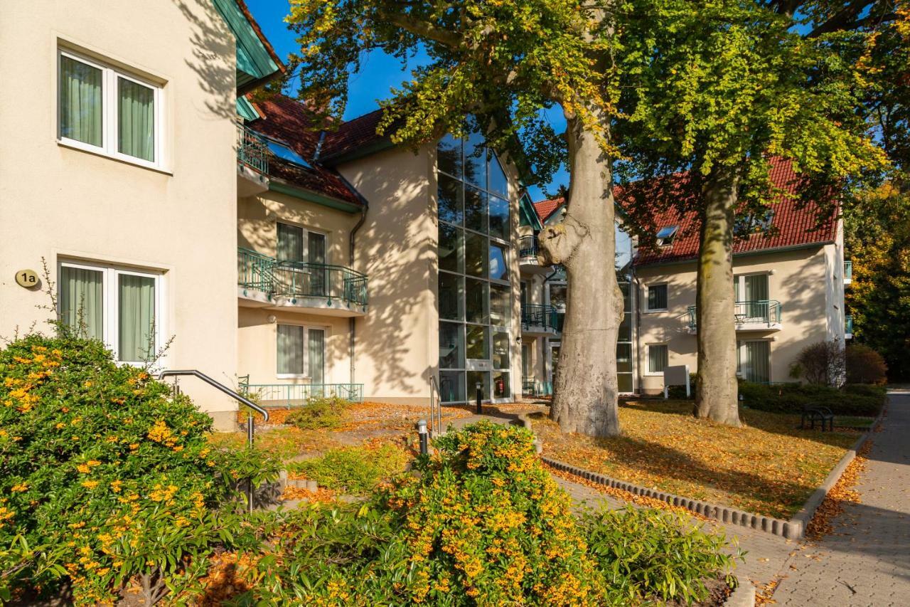 Apartment Giovanni Zempin Exterior photo